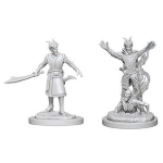 D&D Nolzur's Marvelous Miniatures - Warlock Tiefling Maschio