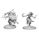 D&D Nolzur's Marvelous Miniatures - Warlock Tiefling Femmina
