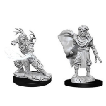 D&D Nolzur's Marvelous Miniatures - Druido Umano Maschio