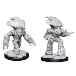 D&D Nolzur's Marvelous Miniatures - Miconide Adulto
