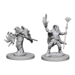 D&D Nolzur's Marvelous Miniatures - Mago Elfo Maschio