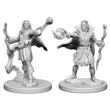 Pathfinder Deep Cuts Miniatures - Stregone Elfo Maschio