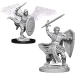 D&D Nolzur's Marvelous Miniatures - Paladino Aasimar Maschio