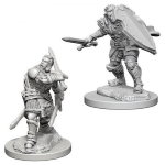 D&D Nolzur's Marvelous Miniatures - Paladino Umano Maschio