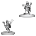 Pathfinder Deep Cuts Miniatures - Druido Gnomo Maschio