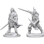 D&D Nolzur's Marvelous Miniatures - Guerriero Umano Maschio