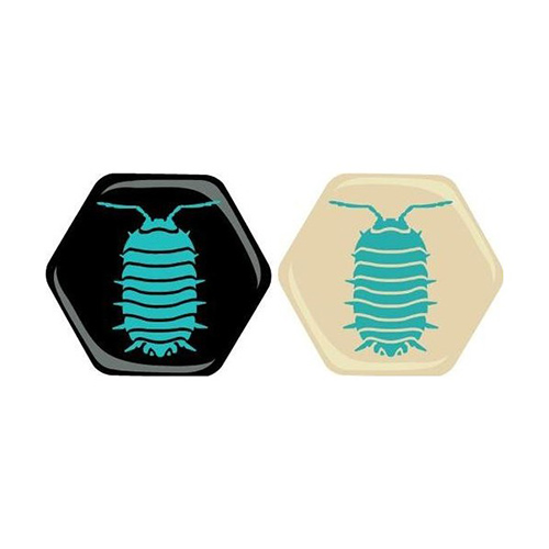 Hive Onisco - Italiano