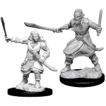 D&D Nolzur's Marvelous Miniatures - Banditi