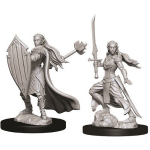 D&D Nolzur's Marvelous Miniatures - Paladino Elfo Femmina