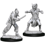 D&D Nolzur's Marvelous Miniatures - Monaco Umano Maschio