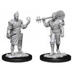 D&D Nolzur's Marvelous Miniatures - Bardo Mezzelfo Maschio