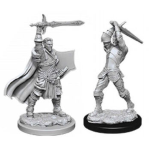 D&D Nolzur's Marvelous Miniatures - Paladino Umano Maschio