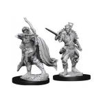 D&D Nolzur's Marvelous Miniatures - Ladro Elfo Maschio