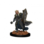 D&D Premium Miniatures - Chierico Elfo Maschio