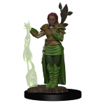 D&D Premium Miniatures - Druido Umano Femmina
