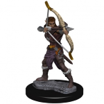 D&D Premium Miniatures - Ranger Elfo Femmina