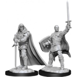 D&D Nolzur's Marvelous Miniatures - Paladino Umano Maschio