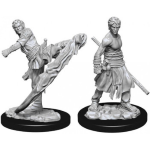 D&D Nolzur's Marvelous Miniatures - Monaco Mezzelfo Maschio