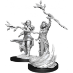 D&D Nolzur's Marvelous Miniatures - Druido Umano Femmina