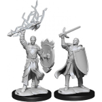 D&D Nolzur's Marvelous Miniatures - Paladino Mezzelfo Maschio