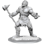 D&D Nolzur's Marvelous Miniatures - Ciclope