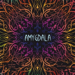 Amygdala - Italiano