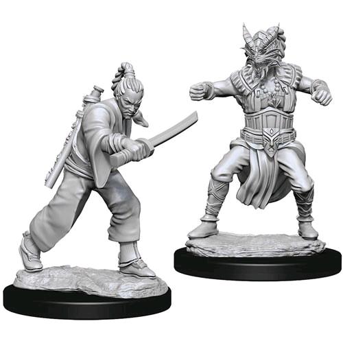 D&D Nolzur's Marvelous Miniatures - Monaco Umano Maschio