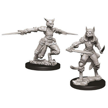 D&D Nolzur's Marvelous Miniatures - Ladro Tabaxi Femmina