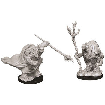 D&D Nolzur's Marvelous Miniatures - Tortughe Avventuriere