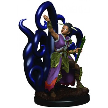 D&D Premium Miniatures - Warlock Umano Femmina