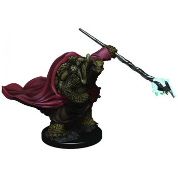 D&D Premium Miniatures - Monaco Tartaruga Maschio