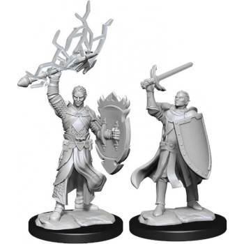 D&D Nolzur's Marvelous Miniatures - Paladino Mezzelfo Maschio