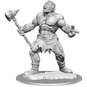 D&D Nolzur's Marvelous Miniatures - Ciclope