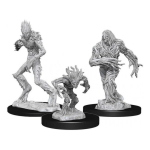 D&D Nolzur's Marvelous Miniatures - Blights