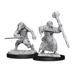 D&D Nolzur's Marvelous Miniatures - Kenku Adventurers