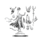 D&D Frameworks: Human Druid Female