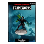 D&D Frameworks: Human Rogue Female