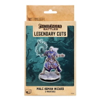 Pathfinder Legendary Cuts - Male Human Wizard