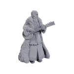 D&D Nolzur's Marvelous Miniatures - Ansalon Human Bard