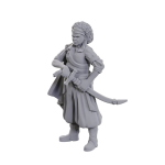 D&D Nolzur's Marvelous Miniatures - Ansalon Human Rogue