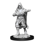 Pathfinder Battles Deep Cuts - Human Rogue Male