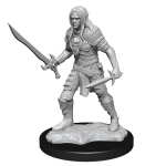 Pathfinder Battles Deep Cuts - Elf Fighter Male