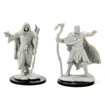 D&D Nolzur's Marvelous Miniatures -  Human Druid Male