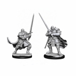 D&D Nolzur's Marvelous Miniatures - Half-Orc Paladin Male