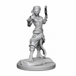 D&D Nolzur's Marvelous Miniatures - Shifter Fighter