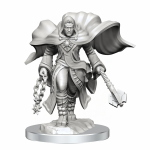 D&D Nolzur's Marvelous Miniatures - Aasimar Cleric Male