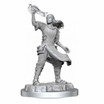 D&D Nolzur's Marvelous Miniatures - Aasimar Cleric Female