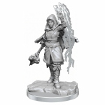 D&D Nolzur's Marvelous Miniatures - Half-Elf Warlock