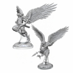 D&D Nolzur's Marvelous Miniatures - Aarakocra Fighters