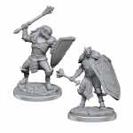 D&D Nolzur's Marvelous Miniatures - Dragonborn Clerics